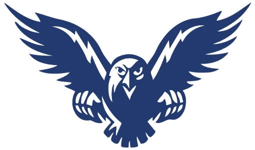 Falcons