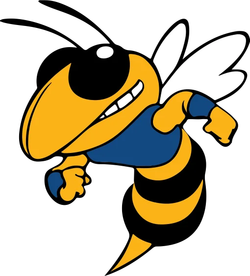 Hornets